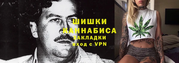 молекула духа Алзамай